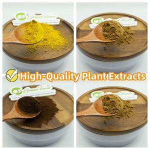 Food Grade 99% <span class=keywords><strong>Shiitake</strong></span> Cogumelo Em Pó Líquido-Sólida Extração Rico Umami Sabor para Tempero Planta-Based Dishes Embalado a Vácuo - Product Image 4