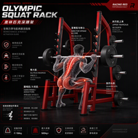 Cage de musculation Olympic avec barre de traction pour entraînement de force commercial