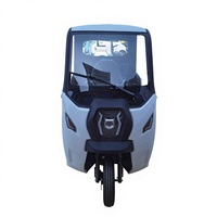 Camionnette électrique à trois roues en acier motorisée avec moteur 60V, capacité de charge de 400 kg pour le transport de marchandises