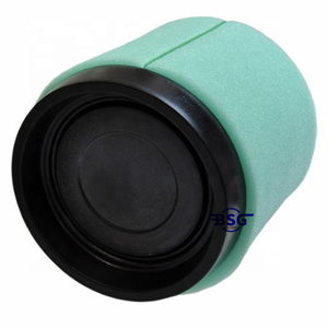 Filtro Aria Polar Is 1253372 1-9 ATP per Magnum Trail Blazer 330 325 200 Trail per Macchine da Giardino - Product Image 5