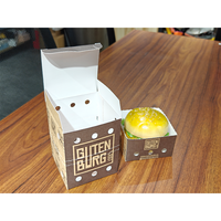 Boîte à hamburger de qualité supérieure, portable, facile à ouvrir, avec fermeture éclair recyclée, emballage alimentaire, logo personnalisé