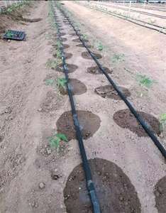 1 Hectare Agrícola Farmland Sistema de Irrigação por Gotejamento Kit Completo 16mm Inner Flat Emitter Double Holes Layflat Mangueira Drip Tape - Product Image 5