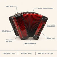 Accordéon à boutons 60 basses 62 touches 37 clés, système B, avec motifs sculptés exquis pour la musique folklorique et les spectacles sur scène