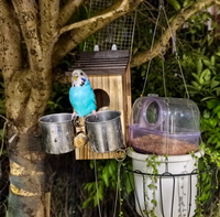 Maison d'incubation et volière pour oiseaux en bois et acrylique avec caméra et panneau solaire pour la surveillance et l'enregistrement intelligent des oiseaux