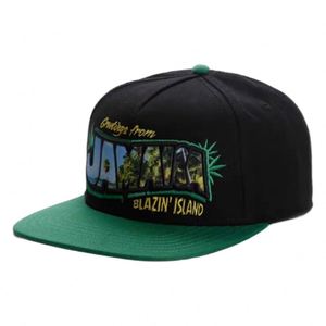 Casquette Snapback à visière plate en daim brodée 3D Hawaï, chapeau réglable pour vacances tropicales - Product Image 5