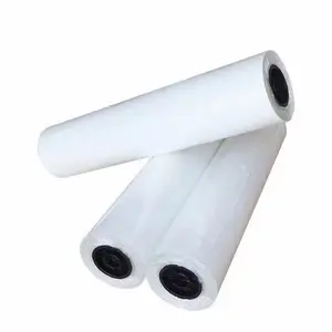 Double-Side Printing Hot Peel Cold Peel Dtf Pet Film Roll 30cm*100m Polyester Transfer Film DTF Film