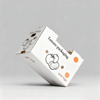 Caja de Frutas Corrugada con Logotipo Personalizado, Caja de Embalaje de Frutas de Cartón de Alta Calidad y Bajo Costo, Caja para Papas con Asa