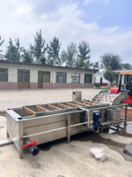 Commerciële Kleine Voedsel Lommerrijke Fruit Schone Wasmachine Luchtbel Groente Wasmachine