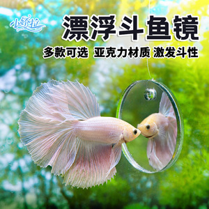 Espejo de entrenamiento acrílico para Bettas, espejo de doble cara con bola flotante Ray <span class=keywords><strong>Dragon</strong></span>, espejo externo con ventosa para acuario - Product Image 1