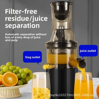 Extracteur de jus professionnel à mastication robuste pour la séparation de la pulpe, la fabrication de crème glacée et de lait de soja