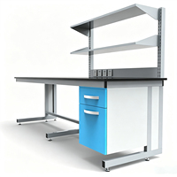 Bancs individuels de laboratoire pour lycées, tables de laboratoire humides pour physique, biologie, chimie, résine phénolique avec étagères