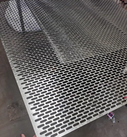 Tôle d'acier inoxydable microperforée Tôle métallique perforée