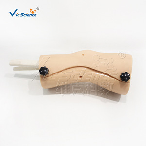 Modèle d'arthroscopie du genou ; Modèle pédagogique et de formation Vic Education - Product Image 2