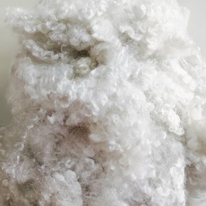 7D/15D Fibre discontinue creuse de silicone conjuguée HCS recyclée pour la filature de béton de matériaux de remplissage-par Mme Mira - Product Image 1