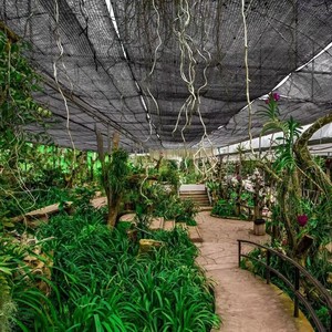 الزراعة المضادة للأضرابات الشمسية-صافي الدفيئة الحديقة - Product Image 4