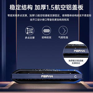 Armónica diatónica Feifan de 12 orificios F12 de escala completa con Fa y La para principiantes y jugadores avanzados - Product Image 3