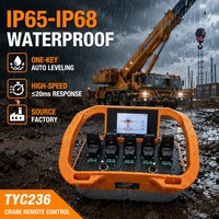 Control Remoto Industrial TYC236, Nivelación con una Sola Tecla, Control de Grúa, Grúa para Camión, IP67, 12V 24V, NOMI