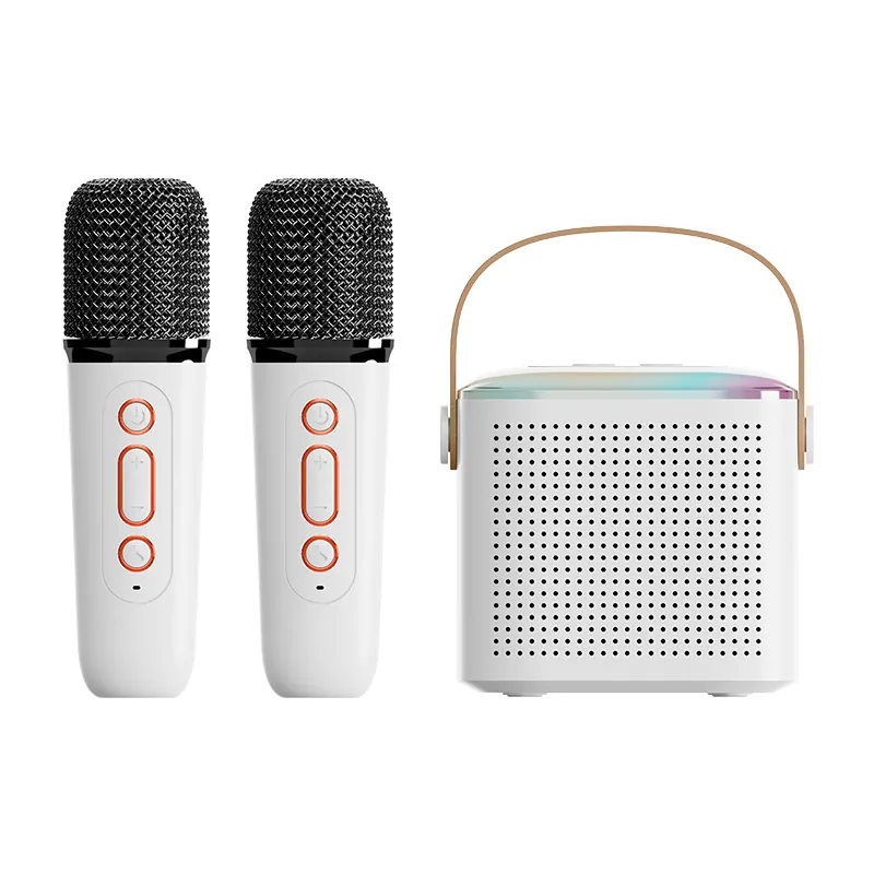 Origineel Geluid Outdoor Mini Speaker Met Draadloze Karaoke Microfoon Rgb Licht Bt5.3 Bluetooth Speaker Met Twee Microfoons