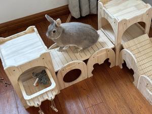 <span class=keywords><strong>Grand</strong></span> château de lapin en bois avec mangeoire à foin amovible et rampe d'intérieur pour petits animaux Habitat pour lapins - Product Image 3