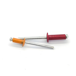 Ancre Nailin industrielle, vente chaude, en aluminium et acier inoxydable, <span class=keywords><strong>rivet</strong></span> aveugle coloré, vis d'ancrage pour béton, goujon mural industriel - Product Image 4
