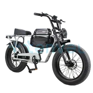 2024 Electric Bike Wholesale Mountain Bike 20inch Fat Tire Ebike Motorcycles Electric Bike Factory