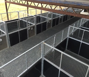 Abri portatif résistant de cheval de stalles de cheval de vente chaude pour le club équestre - Product Image 1