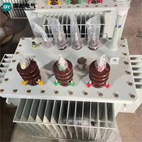 Transformador Sumergido en Aceite de 10000W, Convertidor de Voltaje de 110V 60Hz a 220V 50Hz
