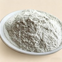 Bubuk Mika Muskovit Chenxing 150 Mesh untuk Penyerapan Minyak pada Lukisan 20 30ml/100g