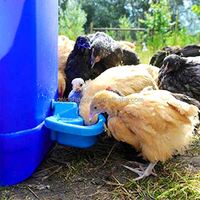 Abreuvoir automatique YYC Max pour poulets, canards, oies, lapins et petits animaux – Gamelle d'eau pour volailles