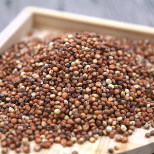 Riz de sorgho avec coques 500G pour oiseaux, lapins, chinchillas, petits animaux, collations écologiques pour animaux de compagnie - Product Image 1