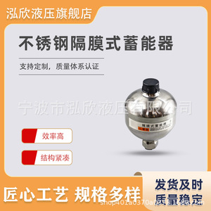 Acumulador de Diafragma Hongxin de 0.075L, Amortiguador Hidráulico de Acero Inoxidable 316 - Product Image 5