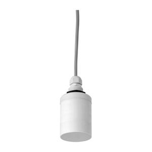 Endress+Hauser Prosonic FDU91, sonde de mesure de niveau ultrasonique avec sonde FDU91-RG1AA, instrument de mesure de niveau de pointe - Product Image 4