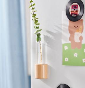 Vente en gros de petits pots de fleurs hydroponiques muraux en PP injecté, écologiques, avec tube à aspiration magnétique pour réfrigérateur, pour décoration - Product Image 4