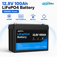 Batterie LiFePO4 Panailo 12,8V 100Ah 1280Wh avec BMS intelligent intégré, 4000 cycles, cellules de qualité A, batterie au plomb-acide, fourniture d'usine