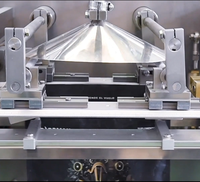 Machine d'emballage Doypack à fermeture éclair entièrement automatique certifiée CE pour le remplissage horizontal de poudre de sel, de café, d'épices
