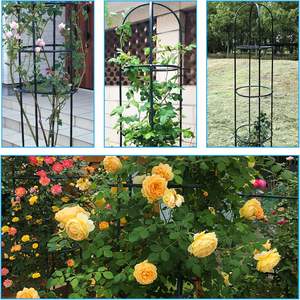 Vente <span class=keywords><strong>en</strong></span> gros d'usine, étagère à plantes à étages <span class=keywords><strong>pour</strong></span> jardin extérieur, 100% métal, robuste, antirouille, 6,3 pieds de haut, <span class=keywords><strong>pour</strong></span> toutes les plantes grimpantes - Product Image 6