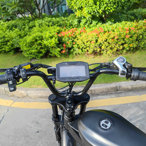 Qmwheel V30 Retro Cổ Điển Xe Đạp Điện Chất Béo Lốp Ebike Siêu Xe Đạp Điện Người Lớn 250W 750W Chất Béo Bánh Xe Xe Đạp Điện - Product Image 4