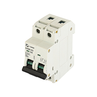 Disjoncteur miniature pour système solaire photovoltaïque 1P DC 32A 63A Matériau PA66 Tension nominale 500Vdc 1000V avec protection LI