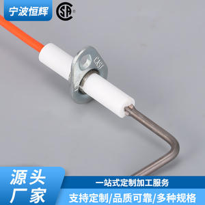 Aiguille d'allumage pour brûleur à gaz HF 043 en acier inoxydable intégrée pour chaudières industrielles - Product Image 4