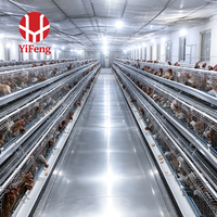 Cage automatique de type A pour poules pondeuses, équipement d'élevage avicole, poulailler en acier galvanisé à chaud