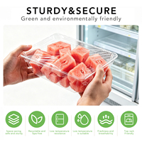 Barquette transparente en PET pour fruits et légumes, idéale pour les supermarchés américains, présentoir réfrigéré pour baies et tomates, emballage de détail, vente en gros, personnalisation OEM