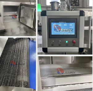 Congélateur tunnel <span class=keywords><strong>à</strong></span> azote liquide, machine <span class=keywords><strong>de</strong></span> congélation <span class=keywords><strong>à</strong></span> azote liquide <span class=keywords><strong>à</strong></span> <span class=keywords><strong>vendre</strong></span> - Product Image 4