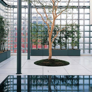 Thủy tinh rỗng gạch cho nhà vệ sinh phân vùng tường, trong suốt vuông pha lê gạch trang trí - Product Image 5