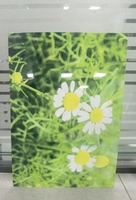 Épaisseur de la feuille d'aluminium par sublimation 0.45/0.65/1.0mm pour panneau photo A4 A3 pour panneau photo