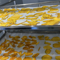 Complete warmtepomp fruitdrooglijn voor mangochipsfabriek 600kg van was- tot verpakkingsstadium
