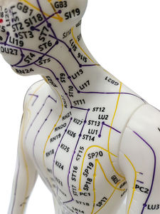 नरम pvc 52 सेमी मानव एक्यूपंक्चर मॉडल बिंदु स्पष्ट रूप से चीनी चिकित्सा शिक्षण के लिए आधार निर्धारित बिंदु - Product Image 6