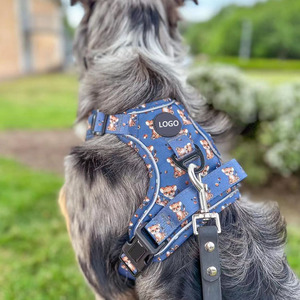Harness Anjing Custom Grosir Laris Manis, Dapat Disesuaikan, Bahan Oxford Tahan Lama untuk Anjing Luar Ruangan - Product Image 6