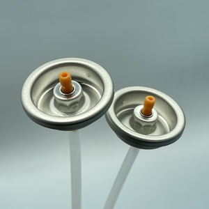 Vannes de pulvérisation durables pour <span class=keywords><strong>nettoyant</strong></span> à mousse de rasage avec actionneur et technologie anti-colmatage - Product Image 1