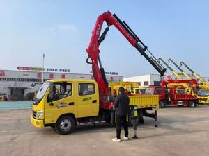 Mini-grue montée sur camion Foton avec flèche télescopique, système entièrement hydraulique, capacité de levage de 20 m, moteur et pompe inclus - Product Image 5