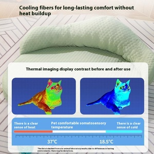 Estera de verano personalizada de fábrica para mascotas, nueva cama de Perrera de tela lavable con patrón sólido, nido de guisantes helados personalizable para perros - Product Image 4